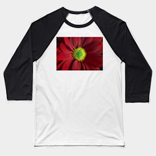 Red Daisy Gerbera Baseball T-Shirt